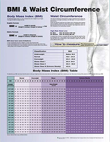 Bmi and Waist Circumference Chart