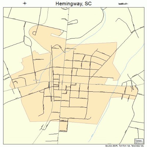 Large Street & Road Map of Hemingway, South Carolina SC Printed