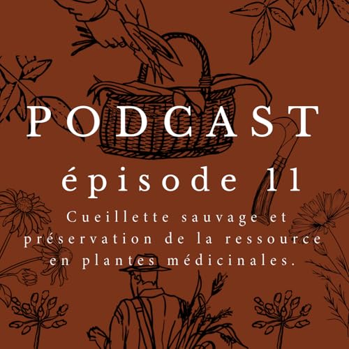 『RENCONTRE : Cueillette sauvage et préservation de la ressource en plantes médicinales avec Jessica Blum & Thomas Echantillac』のカバーアート