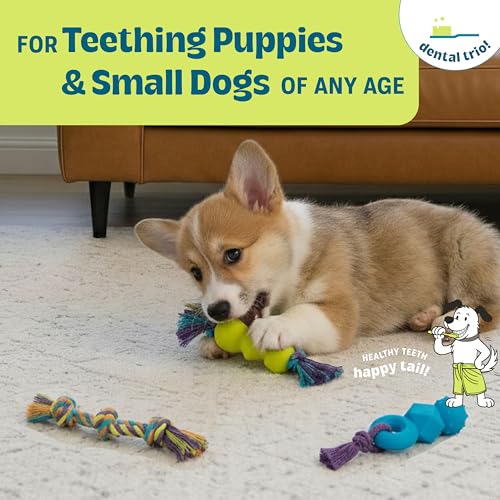 Image of Mini Dentachew Pack Dental Chew Toy, Multi-Textured, Fetch & Tug Rope, Puppies & Small Dogs, 7 inch, 3-Pack