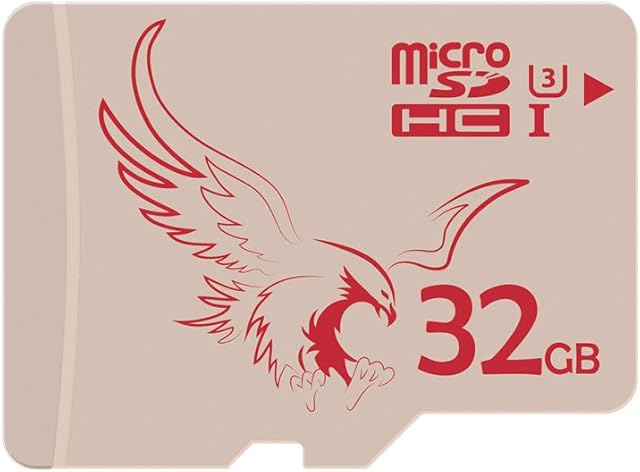 BRAVEEAGLE Micro SD Card 32GB Class 10 Memory Card for Wyze Cam Phone Dashcam Ipad(32GB UHS-I 3)