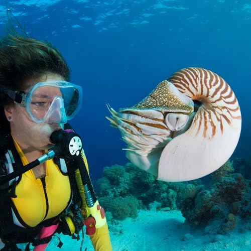 Fish Teach Humans to Make Better Ceramics