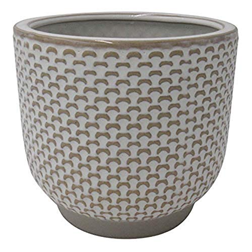 Amazon Brand Stone & Beam Cylindrical Textured Stoneware Planter 5.1H Small Ivory