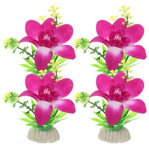 FRCOLOR 4 ԎiM ϋv  Iő@ׂȎhgv[gp  K[f XgH_?