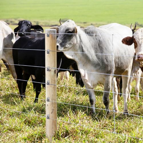 Fence Staples, Insaga 304 Stainless Steel Fence Nails for Softwood, Reusable Wire Fence Staples Screws for Mesh and Woven Fencing, 100pcs Fence Fasteners with Wire Fixer Hold Wire Firmly - Image 7