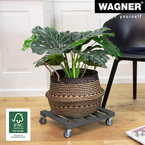 WAGNER Pflanzenroller PALETTI 38 x 38 x 9,5 cm I Kübelroller für Außenbereich + Innenbereich I FSC®-Massivholz, anthrazit, softe Rollen I Tragkraft 120 kg I Made in EU - 20041201