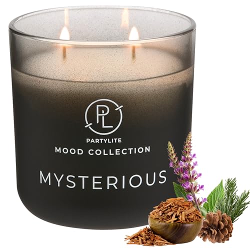 PartyLite Mysterious - Vela en tarro degradado, 2 mechas, nuez moscada de citrón, pino siberiano y fragancia de sándalo, 24-48 horas de tiempo de combustión