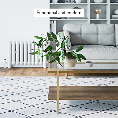 Image of Nathan James Asher Mid-Century Rectangle Coffee Table Glass Top and Rustic Oak Storage Shelf with Sleek Brass Metal Legs, Gold.
