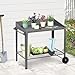 Outdoor Metal Potting Bench with Wheels, Heavy Duty Garden Workbench Table with Storage Shelf (Dark Gray, 36