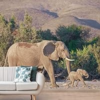 Wall Mural Wild Animals Removable Self-Adhesive Wallpaper Wall Decoration for Bedroom Living Room - 66x96 inches