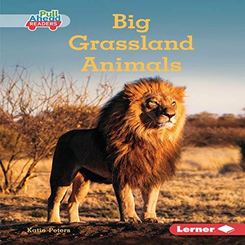 Big Grassland Animals by Katie Peters episode artwork