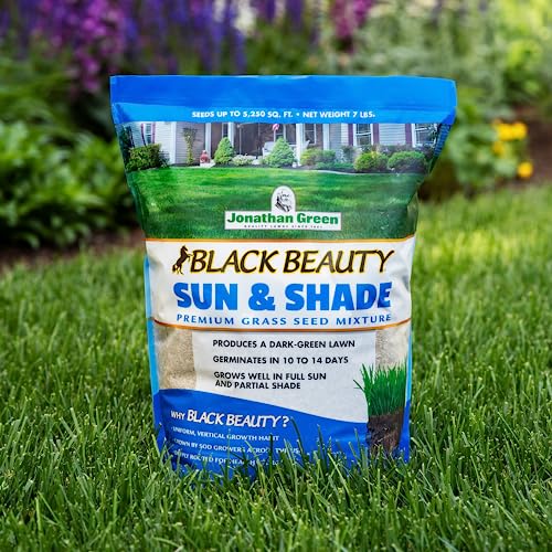 Grass Seed Blends For Sandy Soil Beach Properties