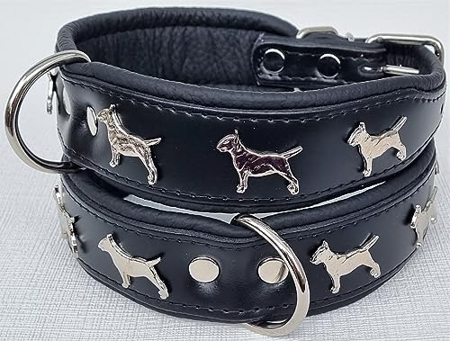 Bullterrier HUNDEHALSBAND - Halsband, Halsumfang 42-50cm Leder Schwarz; Braun/Cognac; ROT-Schwarz (Schwarz)