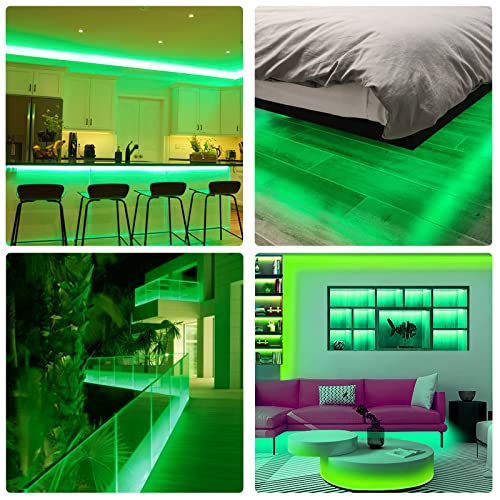 Image of Neon Rope Lights, 16.4ft Rope Lights with Dimmable Remote and Adapter, Waterproof Flexible Smart Led Strip Lights for Bedroom, Super Bright, DIY Neon Sign, Indoors Outdoors Wall Decor, Green