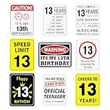 13th Birthday Decorations - 9 PCS Official Teenager Decoration for Boys Girls Funny 13 Year Old Birthday Gifts for Son Daughter Nephew Niece Bruh I'm 13 Photobooth Props Cheer to 13 Party Favor Supplies for Him Her
