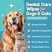 Dog Teeth Cleaning Wipes - Dog Tooth Brushing Kit - Dog Toothbrush Finger Wipes - Removes Plaque & Tartar, Dog Breath Freshener - No-Rinse Pet Dental Care for Dogs & Cats - Easy Use - 55 Count