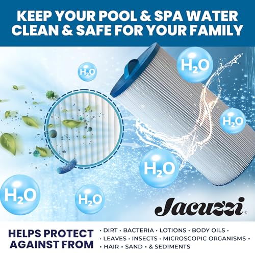 Jacuzzi hot tub spa system