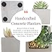 SOIL & STYLE 3 Mini Artificial Succulent Plants Potted - Handcrafted Cement Pots - Small Artificial Plants - Fake Succulent Plants - Fake Plant Decor