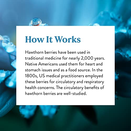 Nature's Sunshine Hawthorn Berries, 100 Capsules | Helps Enhance Heart Muscle Function And Provides Circulatory System Support #TOP5