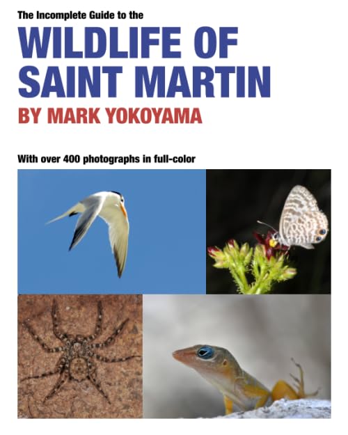 The Incomplete Guide to the Wildlife of Saint Martin