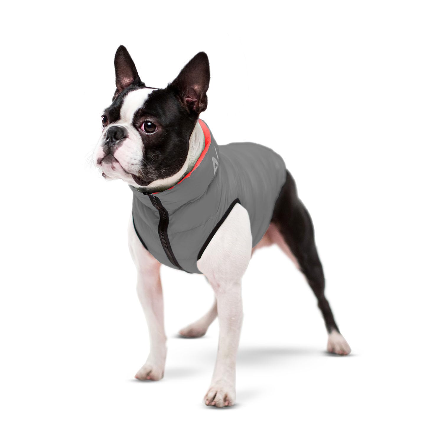 AirVest Reversible Hundekleidung, Hundejacke, Hundemantel, Wasserdicht, Windichte, +Praktische Tasche, Hellgrün + Blau, Größe XS: 25x38x30 cm