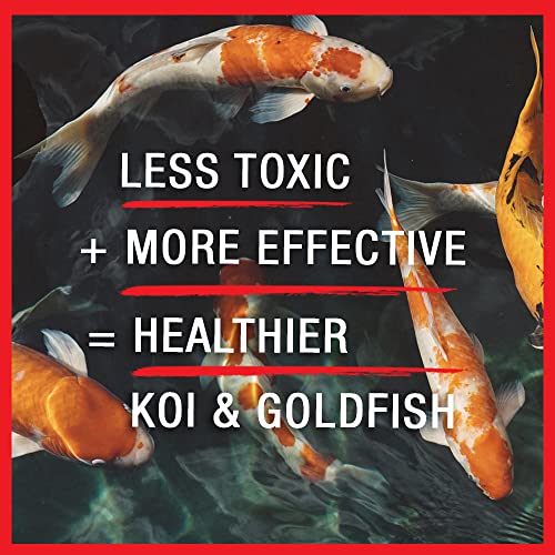 MICROBE-LIFT Broad Spectrum Disease Treatment for Ponds and Outdoor Water Garden, Safe for Live Koi Fish, Goldfish, Plants, and Decor, 32 Ounces - Thumbnail 5