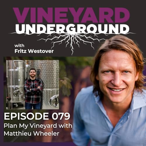 079: Plan My Vineyard with Matthieu Wheeler cover art