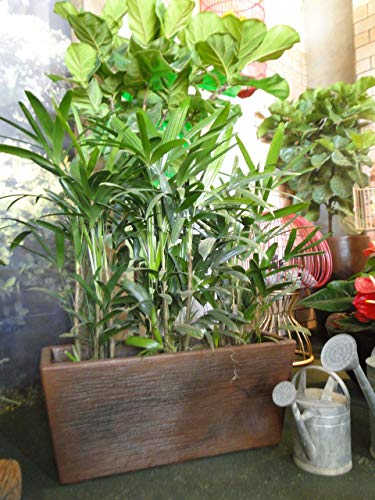 Vasart Terra Jardineira, Rusty, 80x35cm