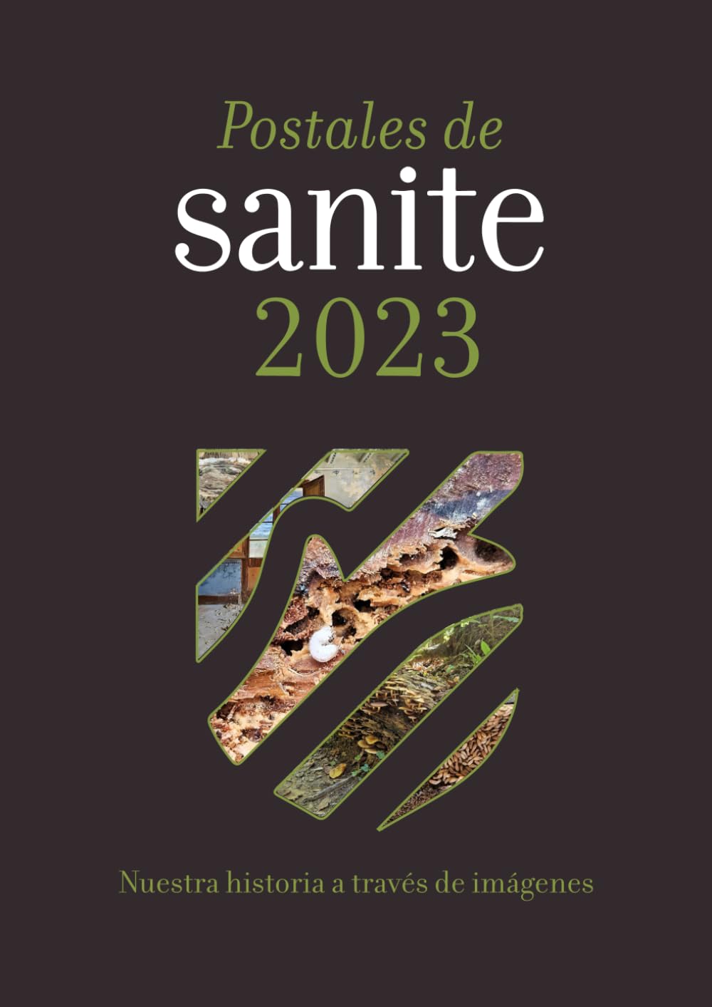 Postales Sanite 2023: Nuestra historia a través de imágenes