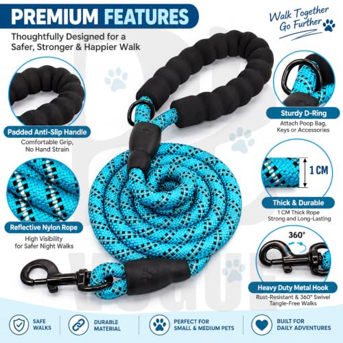 Image of PetVogue FT Nylon Rope Dog Leash, Heavy Duty Training & Walking Lead for Small, Medium & Large Dogs, Reflective Pet Walking Cord with Comfortable Padded Handle & Strong Metal Clip (Blue)