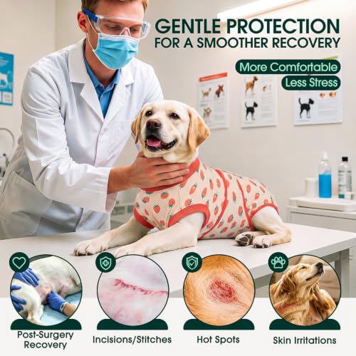 Image of Kuoser Recovery Suit for Dogs After Surgery, Female Dog Onesie for Surgery