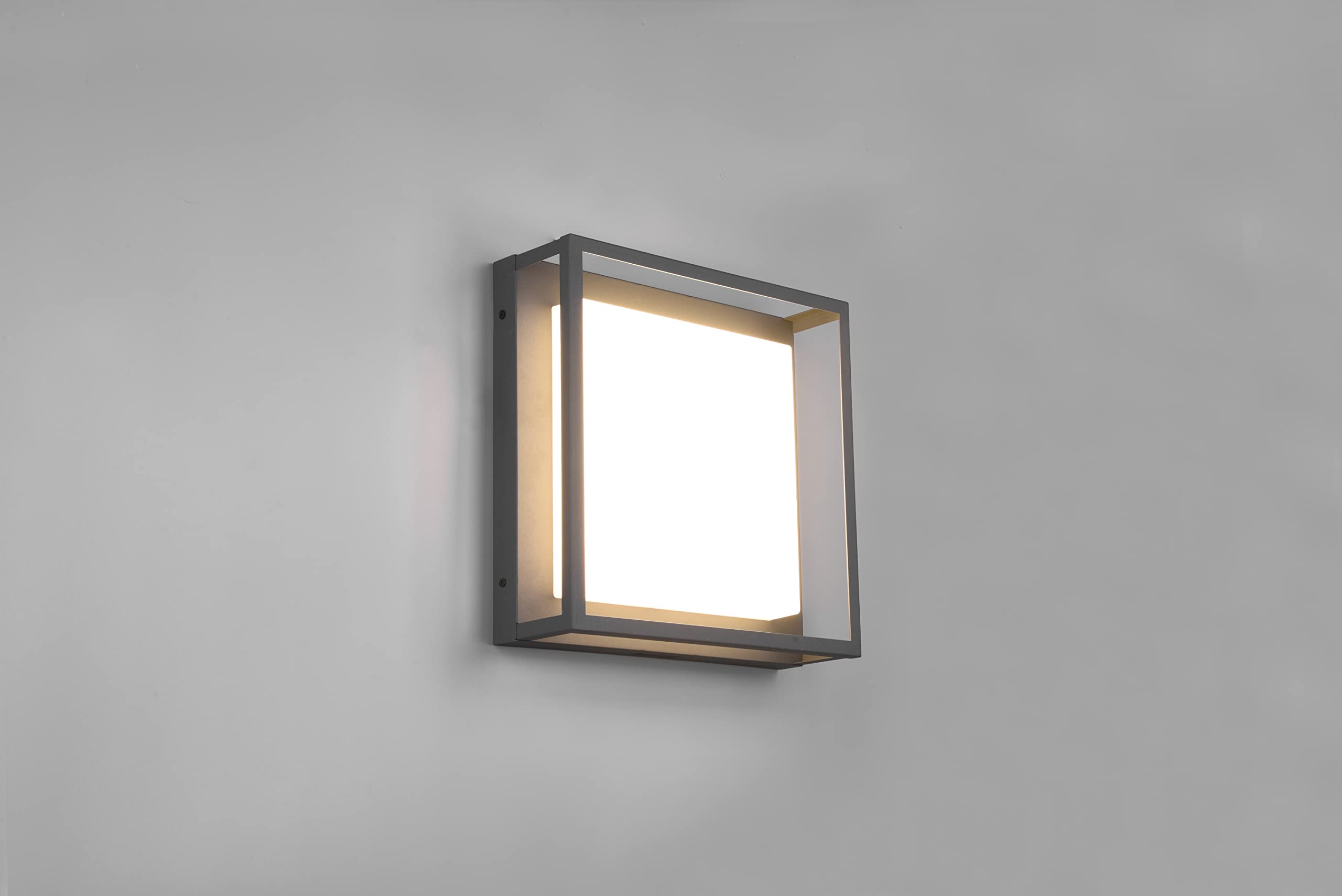Trio Leuchten LED Außen Deckenleuchte Witham 677860142, Metall Anthrazit, Kunststoff weiß, inkl. 10.5 Watt LED, Lichtfarbe einstellbar |