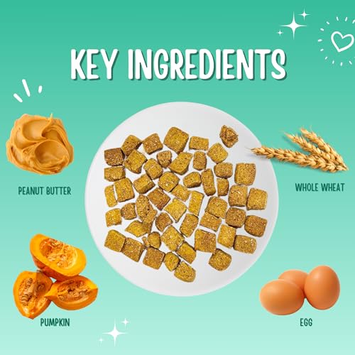Puppy Treats - Peanut Butter & Pumpkin Dog Treats, Crunchy Training Biscuits, All Natural, Human Grade, Vegetarian, Low Calorie, Made in Canada, 100 g image 8