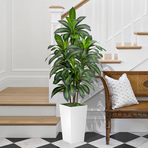 Dracaena Tree 5FT Artificial, 60in Tall Faux Dracaena Tree with 15.7 White Planter, Fake Potted Tree for Indoor & Outdoor Home Office Decor - Image 4