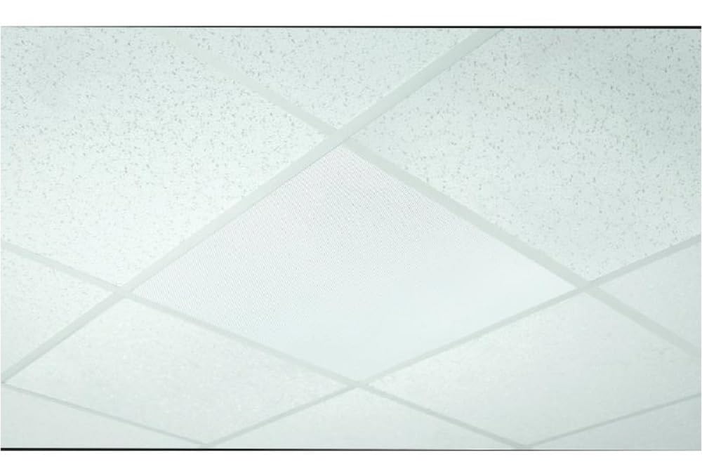 OWI Audio 2X2-IW83 Full Grill 8 ohm 8