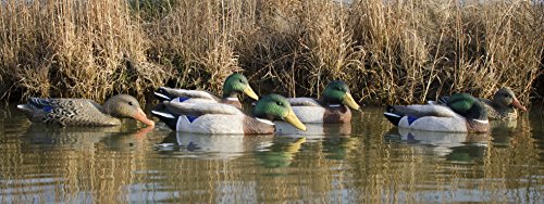 Higdon Outdoors Full-Size Mallard Duck Decoys, Foam-Filled
