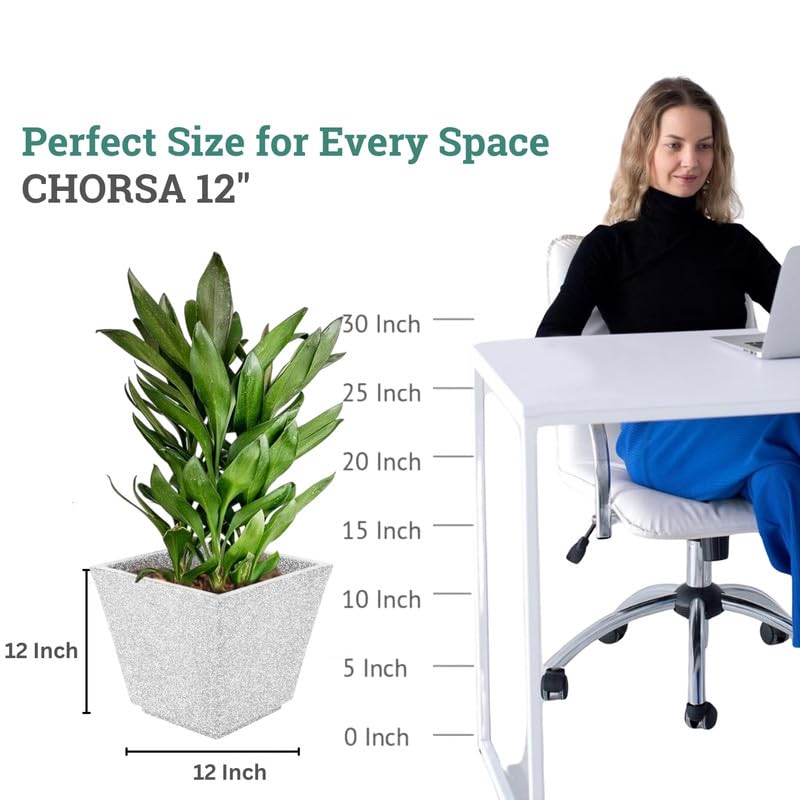 Image of Amazon Brand - Umi 12 Inch Planter Pot | Flower Pot for Indoor & Outdoor Use | Square Shape Planter Pot for Home & Office Decor Balcony & Terrace Gardens (Chorsa, White)