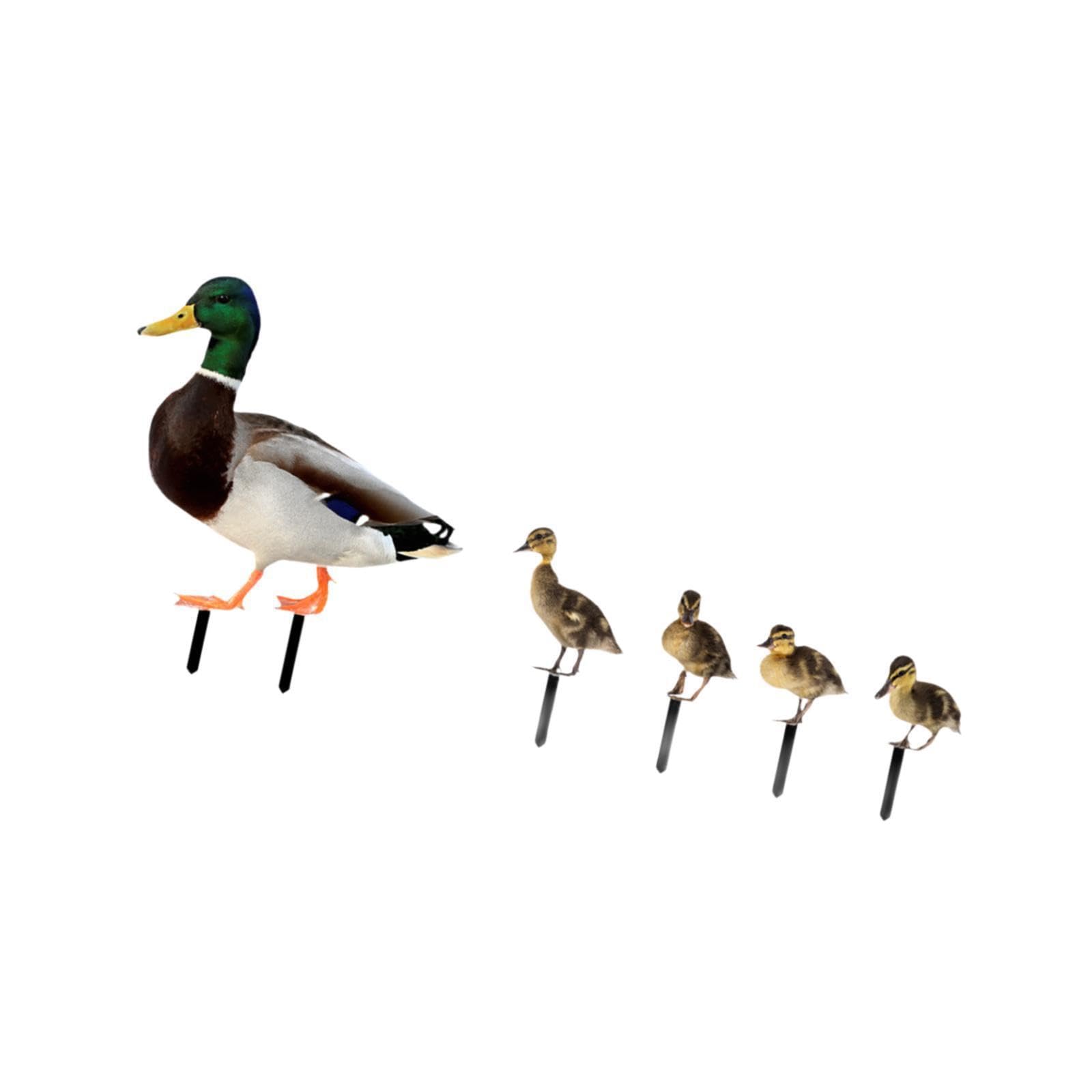 Alcxazs Whimsical Duck Garden Stakes Animal Statues Impressive Yard Art Ornaments Enlivening Gardens Courtyards Yard Decoration Garden Decor Farmhouse Gift