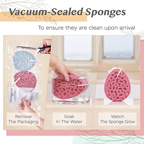 Sunlite Sports BODY SPONGE NATURAL COLORS (2 PIECES) Spongentle Deep Cleansing Body Loofah Sponge thumb #4