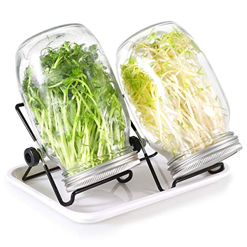 Seed Sprouting Jar Kit - 2pcs Wide Lager 36oz Mason Jars with 2pcs Stainless Steel Screen Sprout Lids, Tray and 2pcs Stand, Seed Sprouter Kit for Growing Broccoli, Alfalfa, Mung Bean