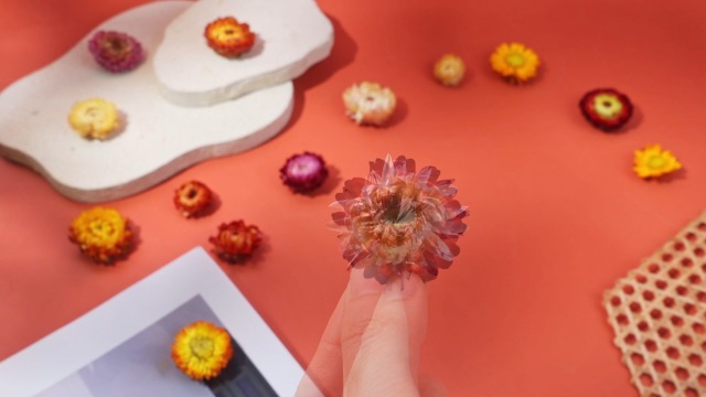 Flores Secas Comestibles Mezcladas Color Helichrysum Strawflower miniatura 7