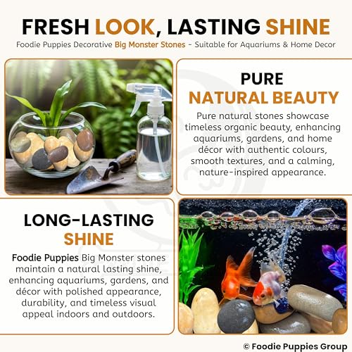 Foodie Puppies River Rocks Natural Multicolour Big Monster Stone - (Large - Pack of 10) for Painting, Aquarium/Fish Tank, DIY, Arts, Crafts, Home Decoration, Garden, and Swimming Pool