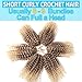 8 Inch Short Passion Twist Hair 6 Bundles Marlybob Crochet Hair Kinky Curly Crochet Hair for Black Women (27#/613#, 6Bundles8 Inch)