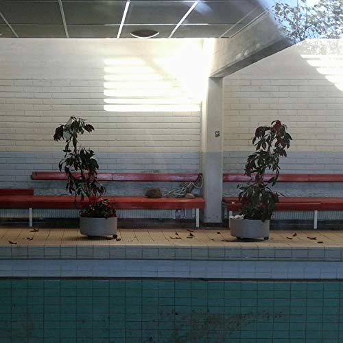 Comparison of Best Bed In The World Top Picks 2023 Reviews