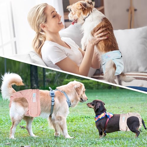 Image of Langsprit Washable Female Dog Diapers (3 Pack) - No Leak Reusable Diapers for Doggy Female in Period - Highly Absorbent Dog Heat Panties with Adjustable Snaps Black M Size
