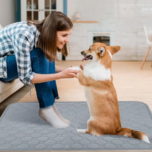 2 Stück Welpenunterlagen Waschbar- Hunde Trainings Pads, 50 x 70 cm, Waschbare Welpen Unterlagen, Super Saugfähig Hunde PIPI Pads, Wasserdicht und rutschfest, für das Hundetraining, Böden, Autos
