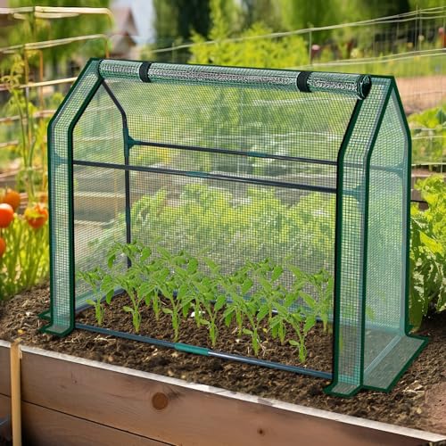Image of Mini Greenhouse Indoor, 36x19x34(H) Inches Tabletop Garden Nursery Plant Cover Tent with Humidity Domes for Home Gardening, Seedling Propagation and Germination, Green Cover