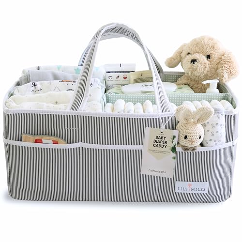 Image of Lily Miles Baby Diaper Caddy - Organizer Tote for Infant Boy or Girl - Baby Shower Basket - Nursery Must Haves - Registry Favorites - Newborn Caddie Car Travel - Gray/Mint, Extra Large
