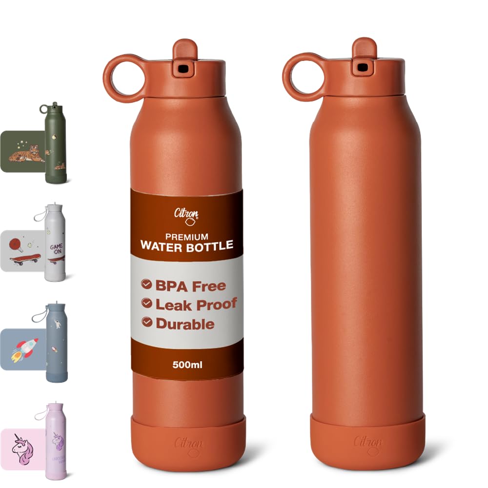 Citron 3 Katmanlı Paslanmaz Çelik Termos Seti 500 ml - Brick 1060872