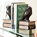 Danya B. Owl Bookends Decorative Rustic Bookshelf Decor - Owls Bookend Set for Heavy Books - Bronze Finish